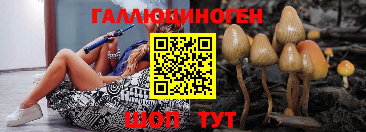Чусовой  Галлюциногенные грибы MAGIC MUSHROOMS  Вход с VPN  Галлюциногенные грибы мицелий 